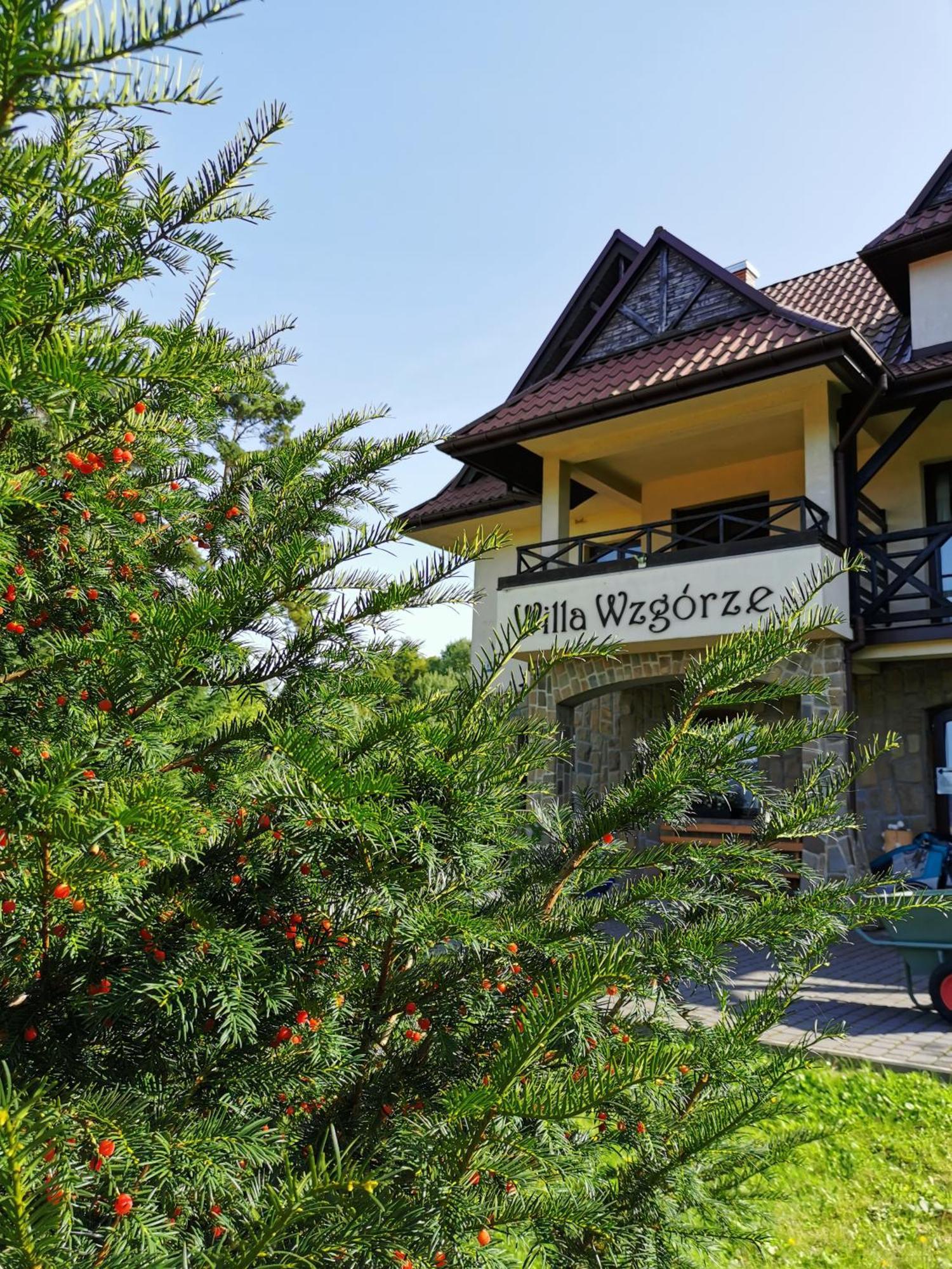 Willa Wzgorze Niedzica Zamek Exterior photo